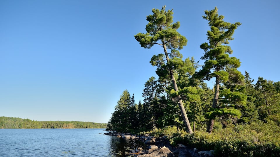 A calm lake surrounded by dense green trees and rocky shoreline.