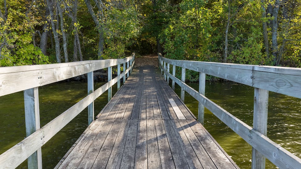 A wooden bridge over a body of water surrounded by trees.