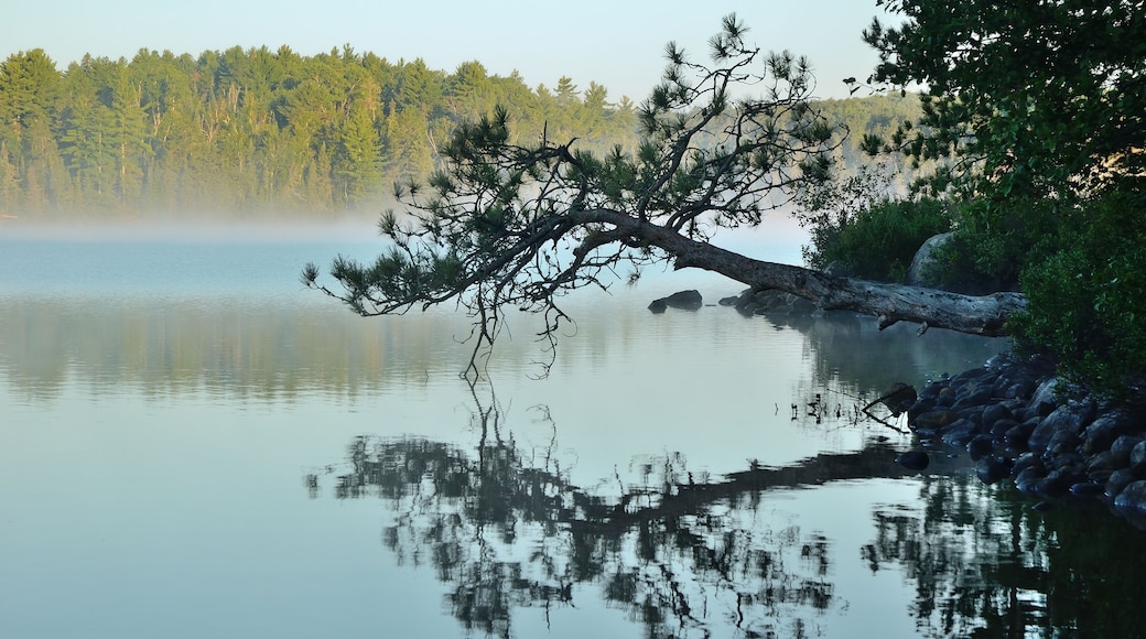 Reflections on a Foggy Wilderness Lake