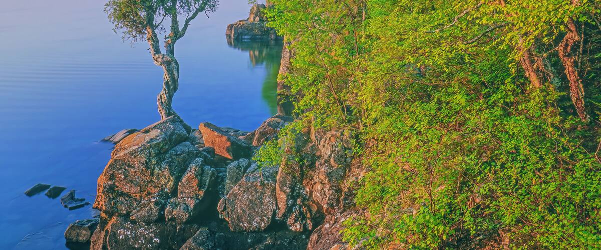 A rocky coastline with a tree on a cliff edge and calm water.