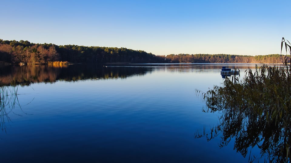A calm lake with a boat, surrounded by trees and reeds.