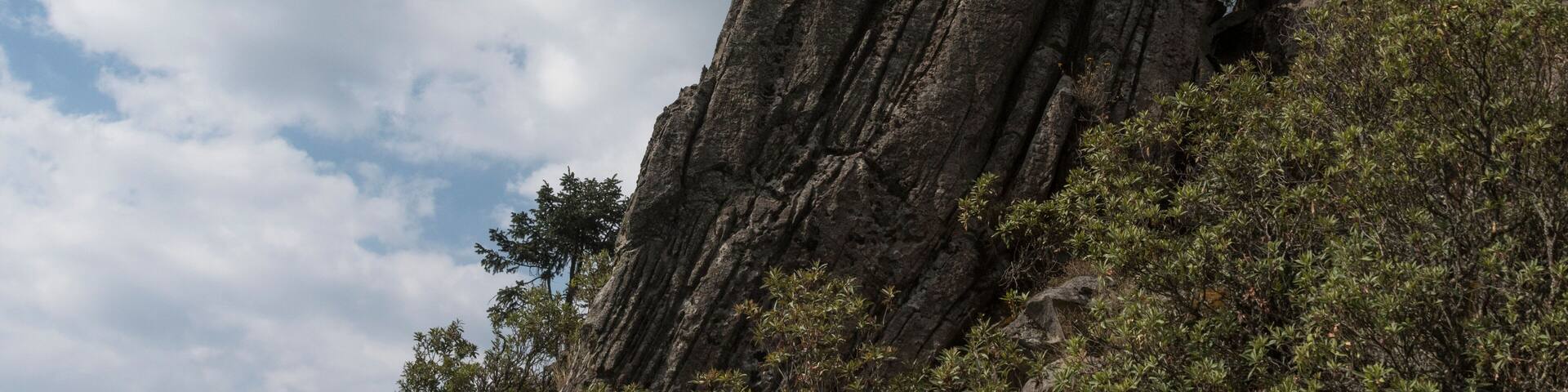 A middle age man on the top of a cliff