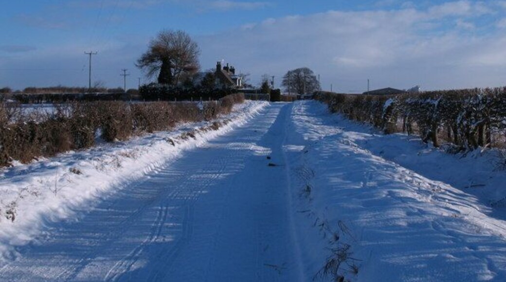 Approaching Lingham Lane Farm Farm road and bridleway near Dishforth.
