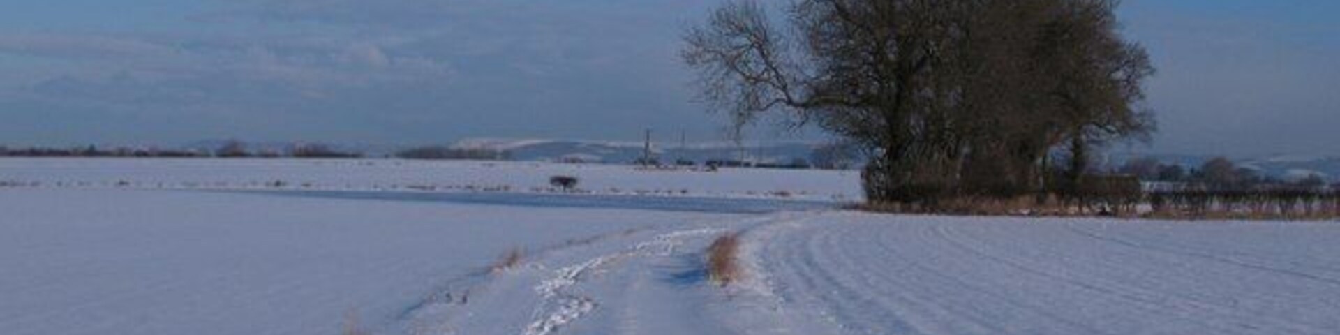 The slow way to Topcliffe Just a few metres from the busy A168 dual carriageway is this bridleway linking Dishforth with Park House Farm on the back road into Topcliffe.