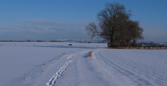 A snow-covered field with a dirt path leading to a tree.