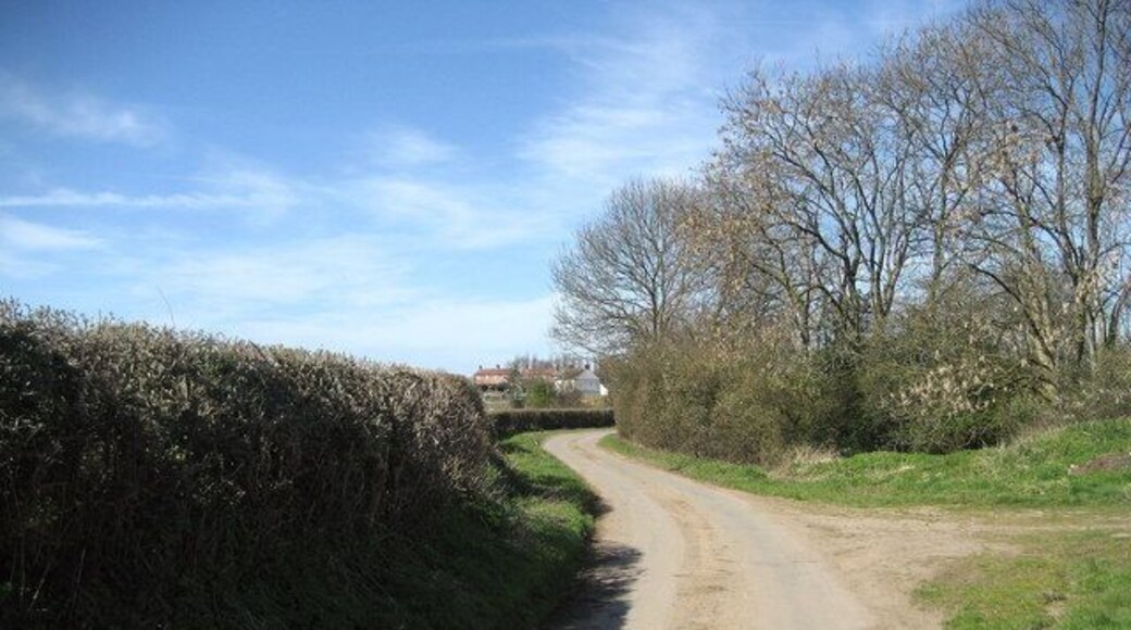 Lingham Lane Approaching Dishforth from the east along this partially metalled lane