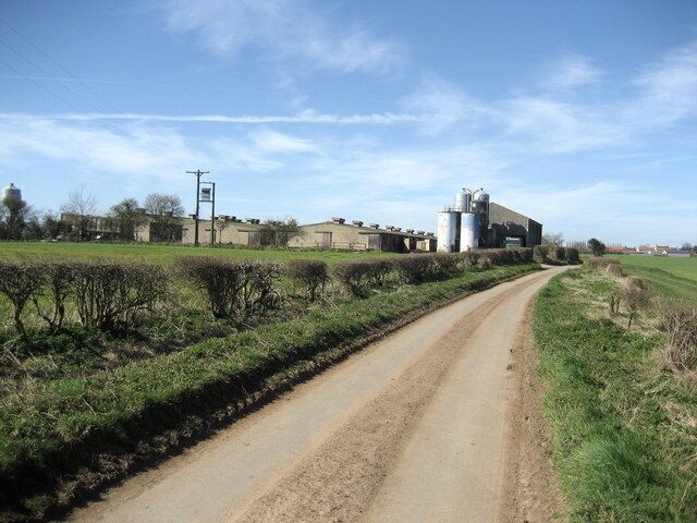 Batteries on Lingham Lane Walking towards Dishforth from the east, I was compelled to pass this factory farm