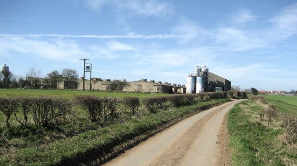 Batteries on Lingham Lane Walking towards Dishforth from the east, I was compelled to pass this factory farm