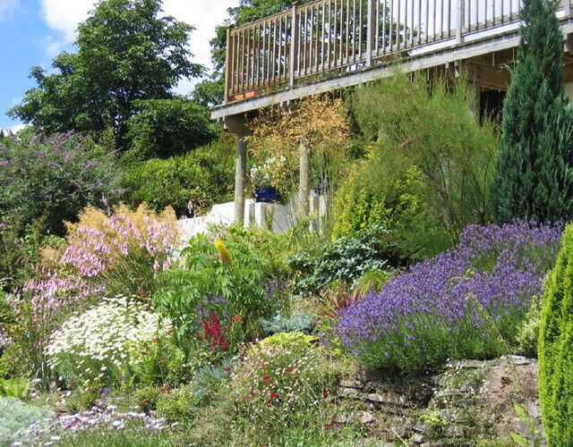 The garden at The Brambles, Church Lane, Hessenford A beautiful Cornish garden in full bloom, early July.