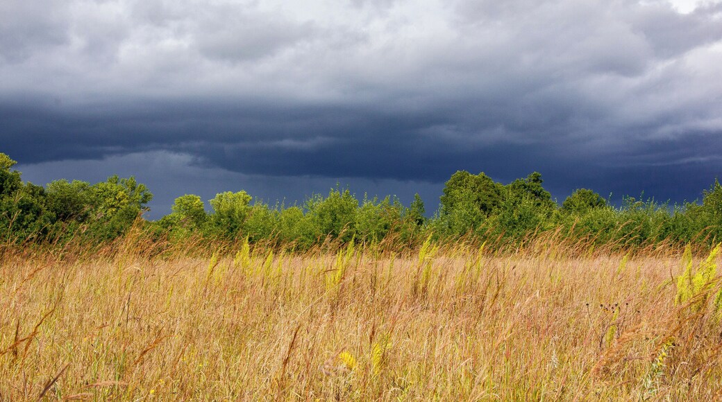 The Flowers and Birds! and the landscape was awesome!