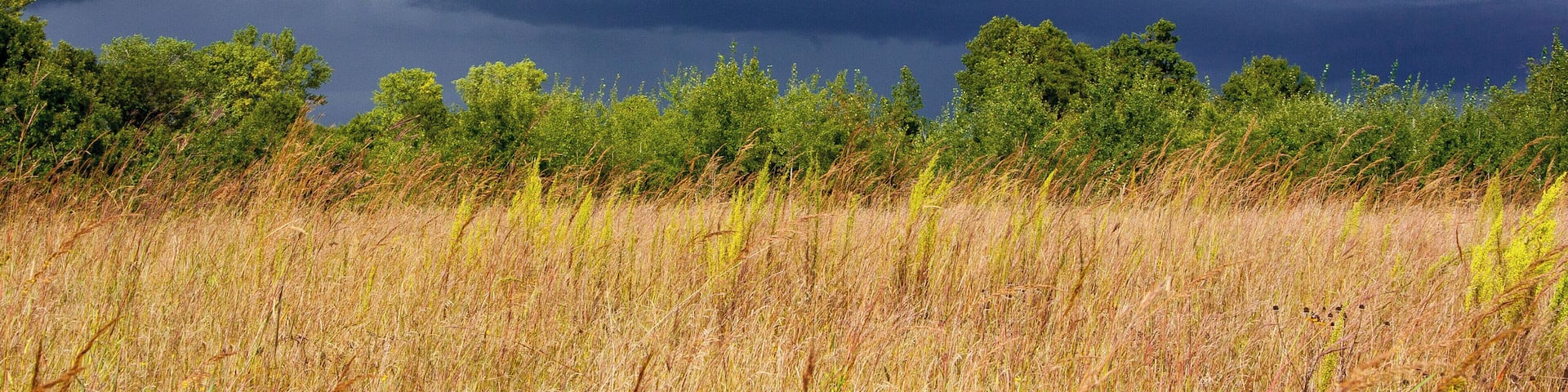 The Flowers and Birds! and the landscape was awesome!