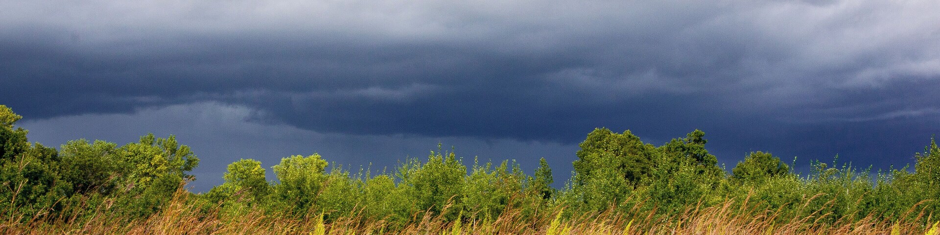 The Flowers and Birds! and the landscape was awesome!