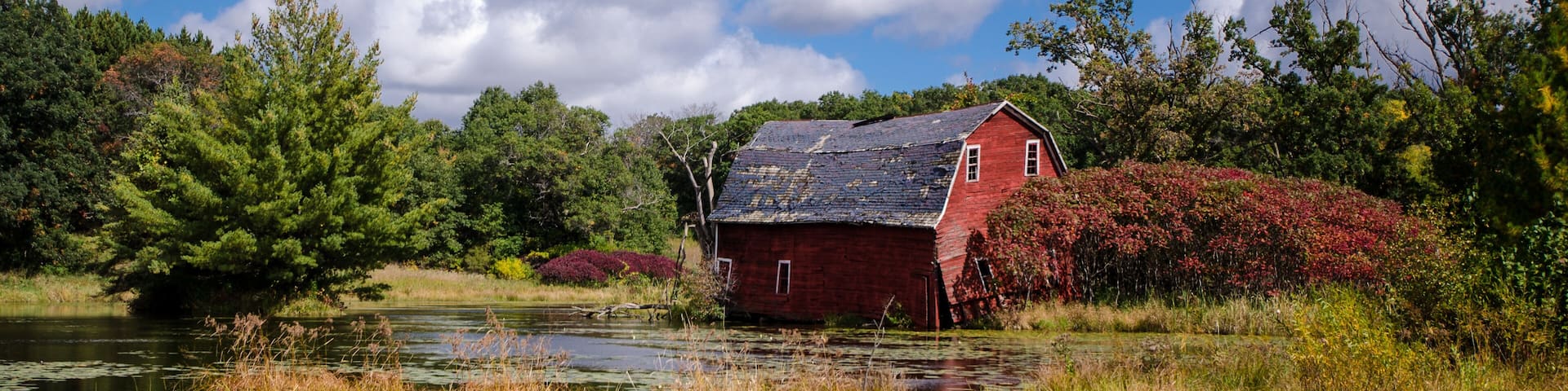 A red barn by a pond with reflections, surrounded by trees and bushes.