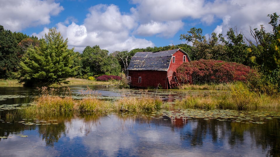 A red barn by a pond with reflections, surrounded by trees and bushes.