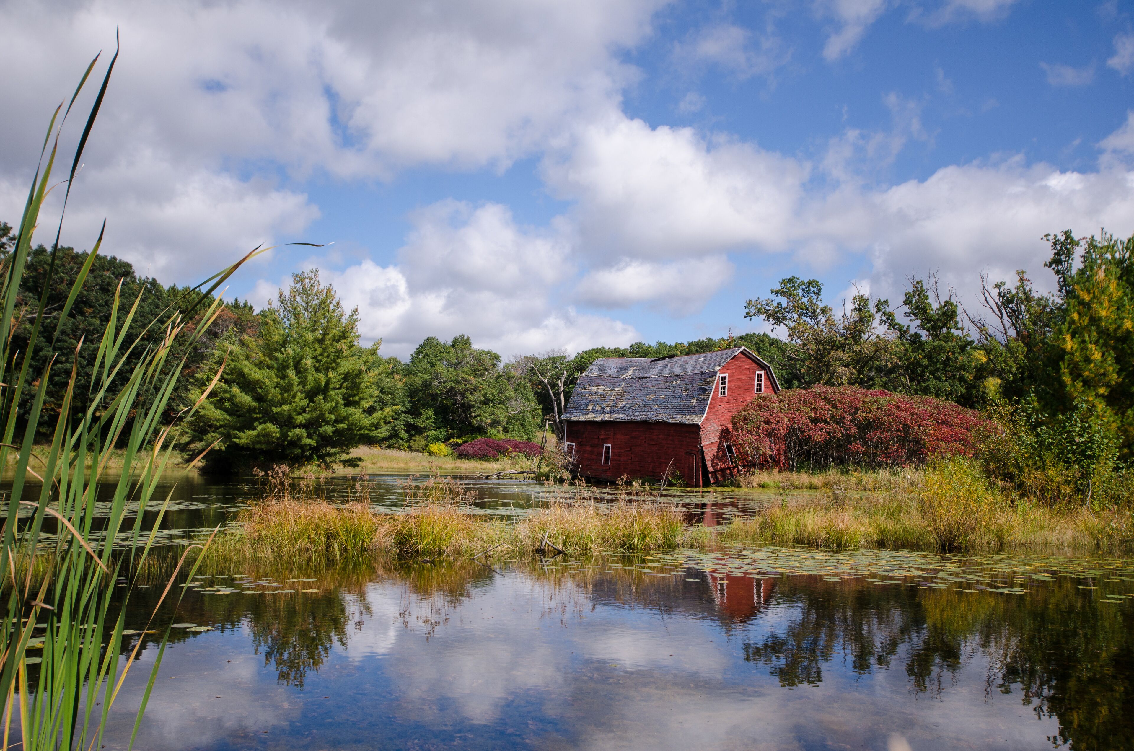 An abandoned red sinking barn sinks into a lake near Zimmerman, Minnesota