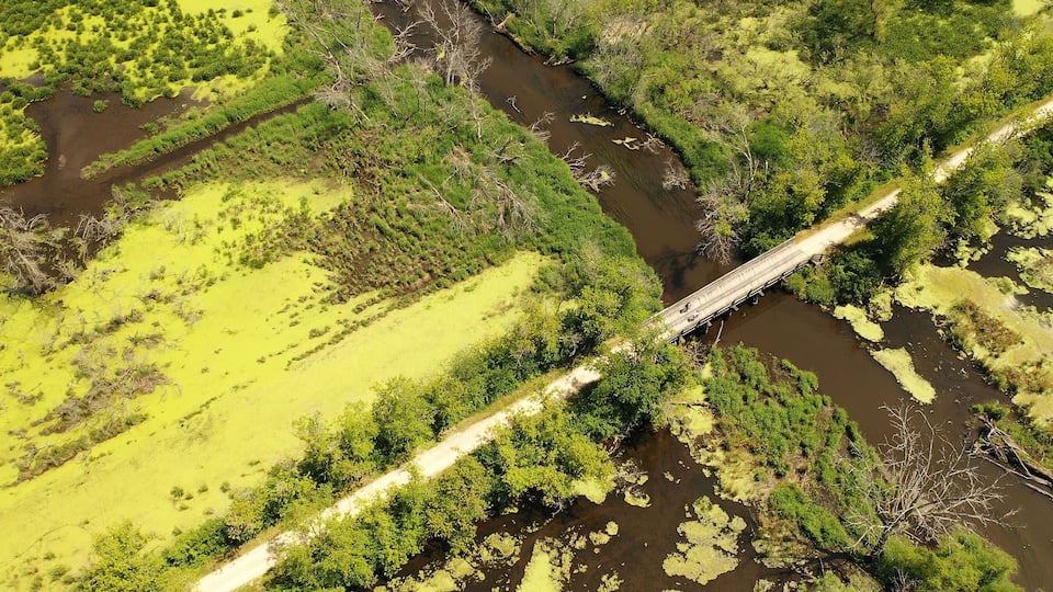 A river crossing a bridge over a green landscape with dense vegetation.