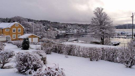 Snow in Fagerstrand. Soon we will see the fjord frozen!