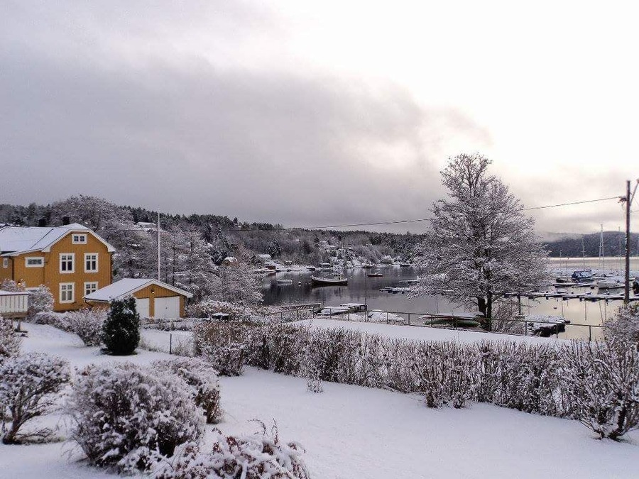 Snow in Fagerstrand. Soon we will see the fjord frozen!