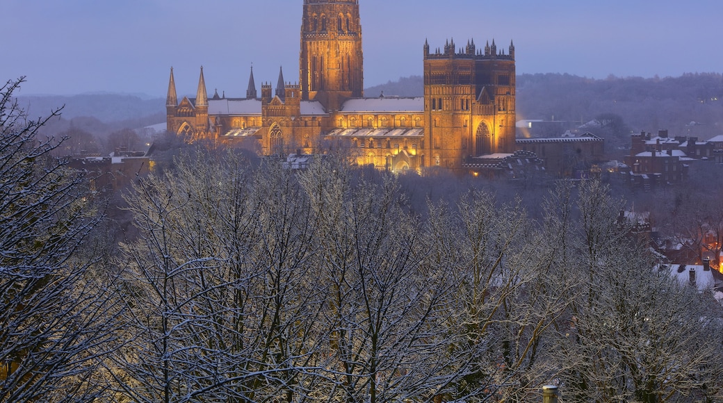 Una cattedrale con due imponenti torri, circondata da alberi innevati e una città sullo sfondo.