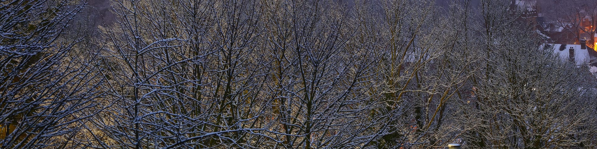 A cathedral with two prominent towers, surrounded by snow-covered trees and a town in the background.