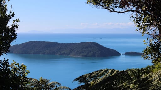 There's nothing but amazing views while #hiking the Queen Charlotte Track on the South Island of New Zealand. You can take a water taxi to Ship Cove and get picked up at Furneaux Lodge if you don't want to do the whole track. Takes between 4-6 hours for just that section and first hour or so is going up the hills. Exhausting, but incredible.