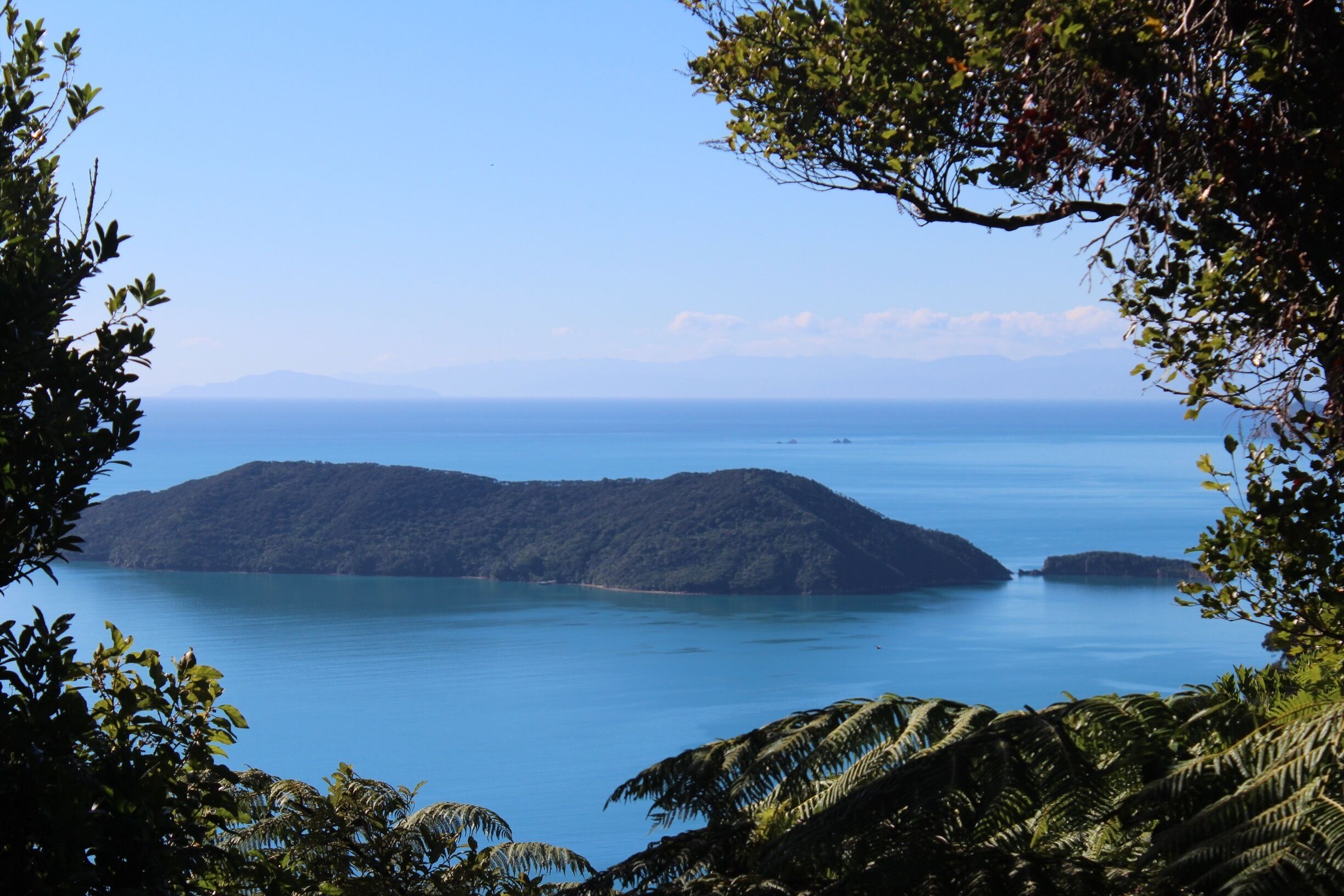 A coastal landscape with a large island surrounded by calm blue waters, dense green foliage, and distant mountains under a clear sky.