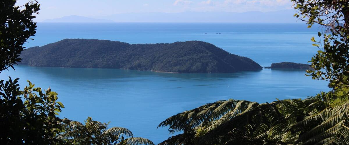 A coastal landscape with a large island surrounded by calm blue waters, dense green foliage, and distant mountains under a clear sky.