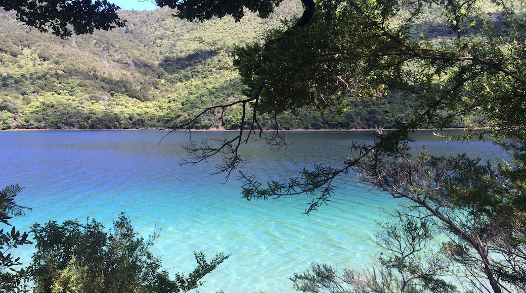 I work and live in this place in the middle of Queen Charlotte track, Malborough Sound. It's a jewel !