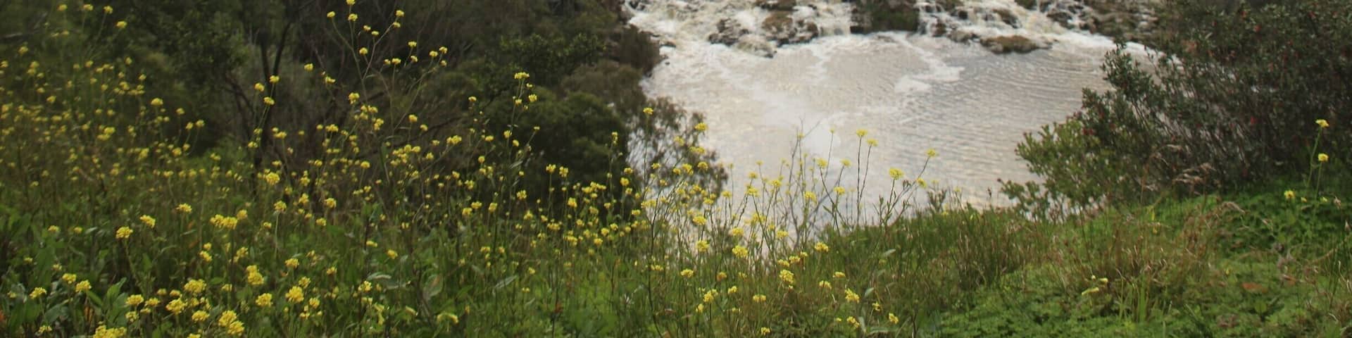 This is a lovely place to go exploring at any time of the year. There is a walking track along the river that leads to a number of platforms, which has beautiful views over the falls.
After a decent winters rain, it's great for photographers. In summer you can find a lot of skinks here. Great biodiversity. #lovemytown
