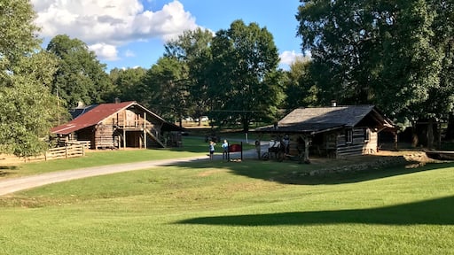 Natchez Trace adventure