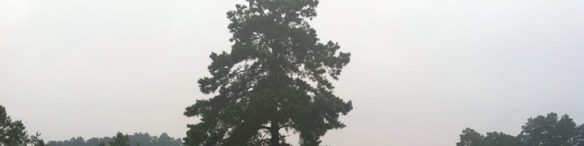 Little black creek. Awesome place to get away.