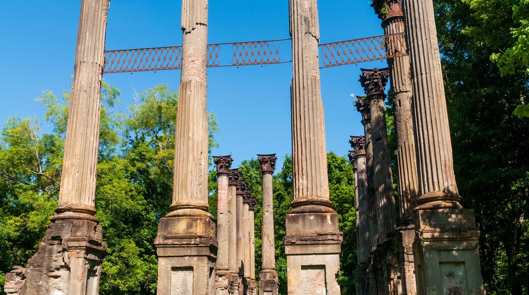 The Corinthian columns of the Windsor Ruins