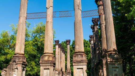 The Corinthian columns of the Windsor Ruins