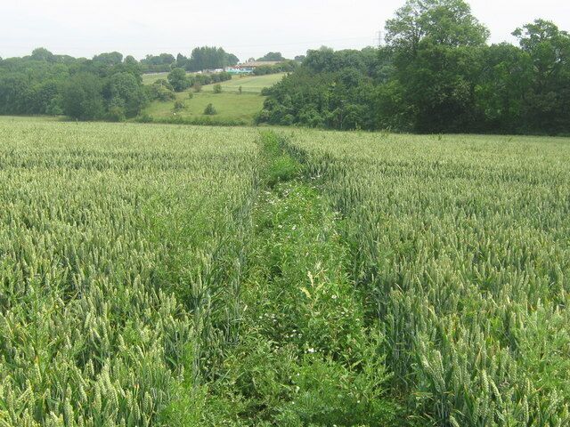 Footpath to Leaveland This footpath leads from a bridleway to climb the hill to the A251 Ashford Road. Leaveland Stables is in the background.
