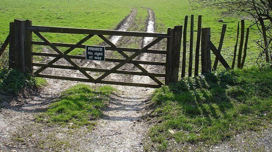 Downland south of Shottenden Road