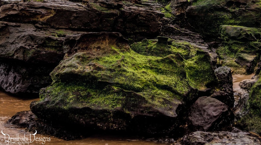 Storms and the ocean, could there be a better combination? I don't think so!!