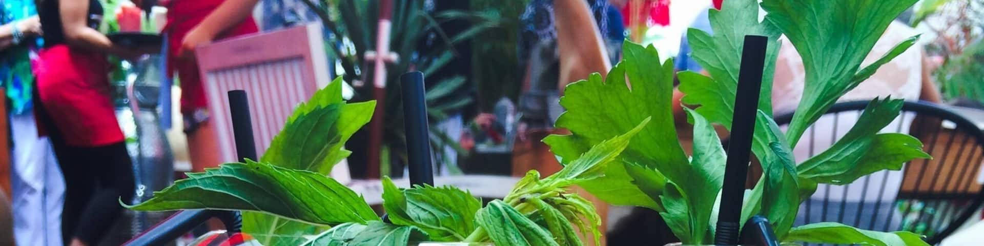 $7.80 per juice
freshly made