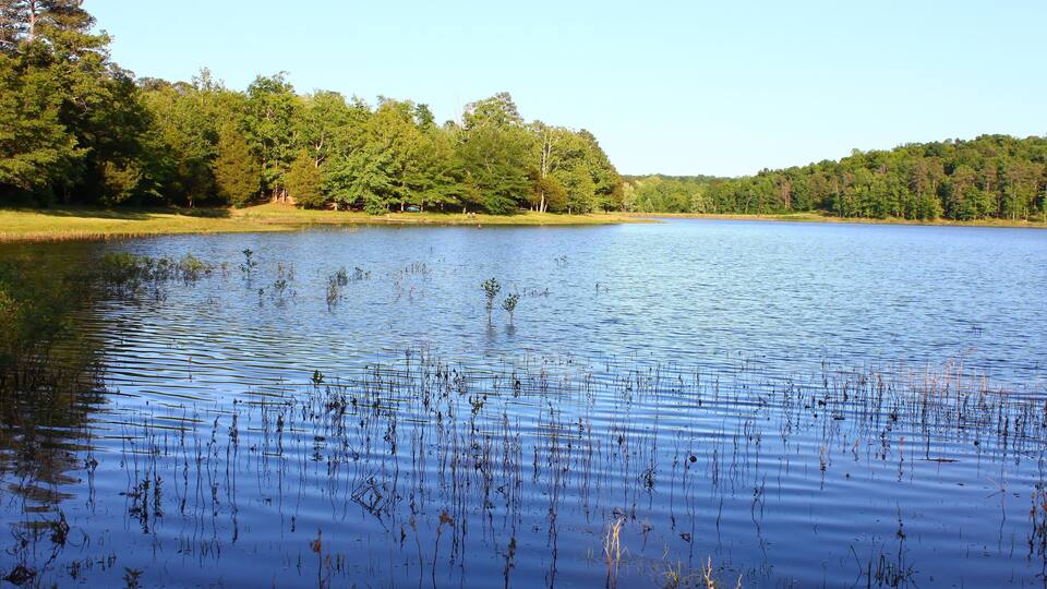 Tishomingo State Park Landscape Mississippi