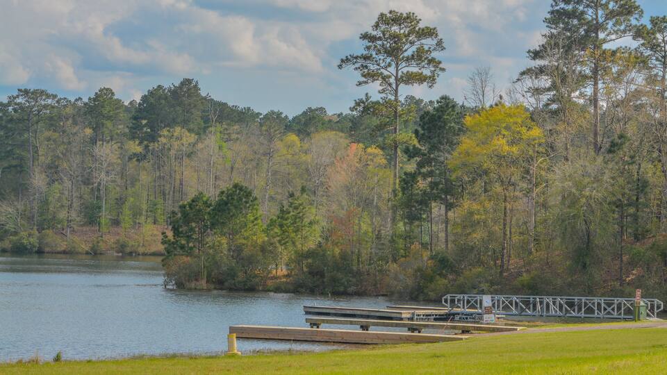 A lake with dock, surrounded by trees and a cloudy sky.