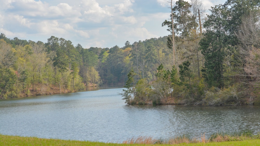 A calm river surrounded by dense forest and grassy banks.