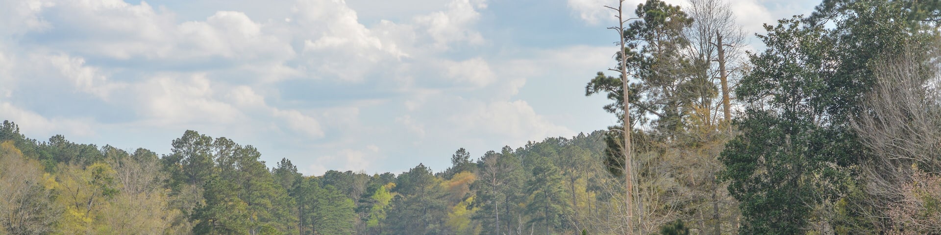 The beautiful view of Okhissa Lake in Homochitto National Forest, Bude, Franklin County, Mississippi