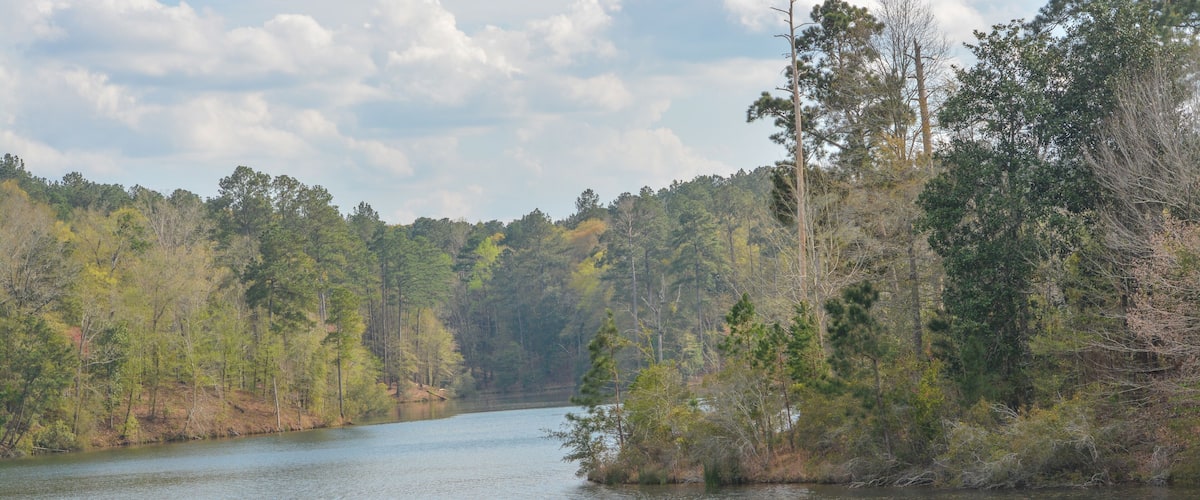 A calm river surrounded by dense forest and grassy banks.