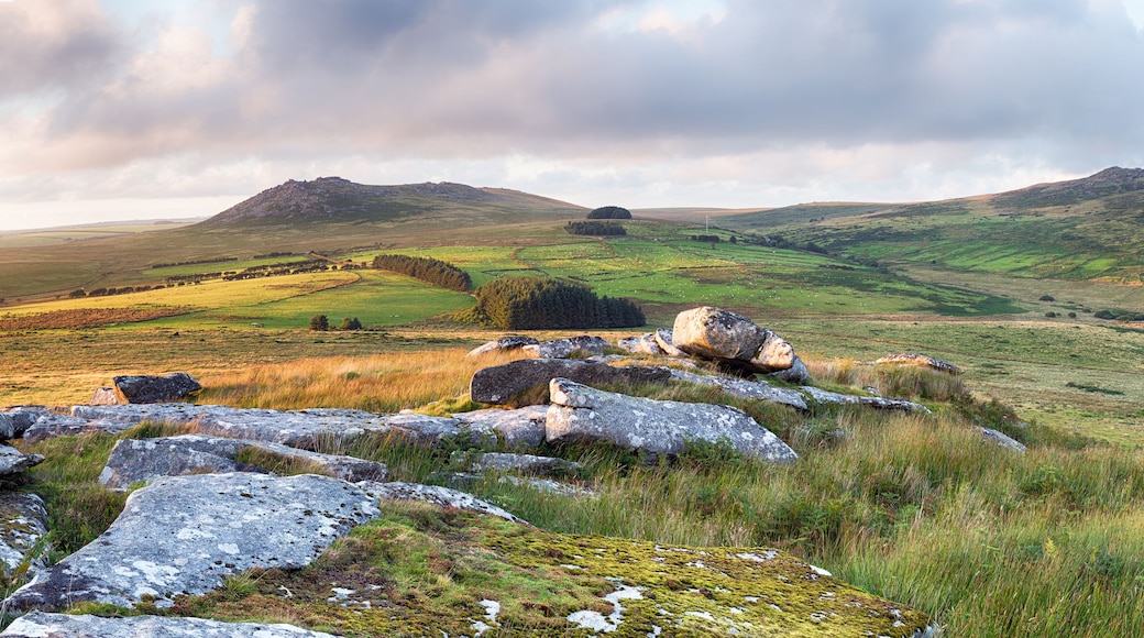 A mountainous landscape with rocky outcrops and grassy fields.