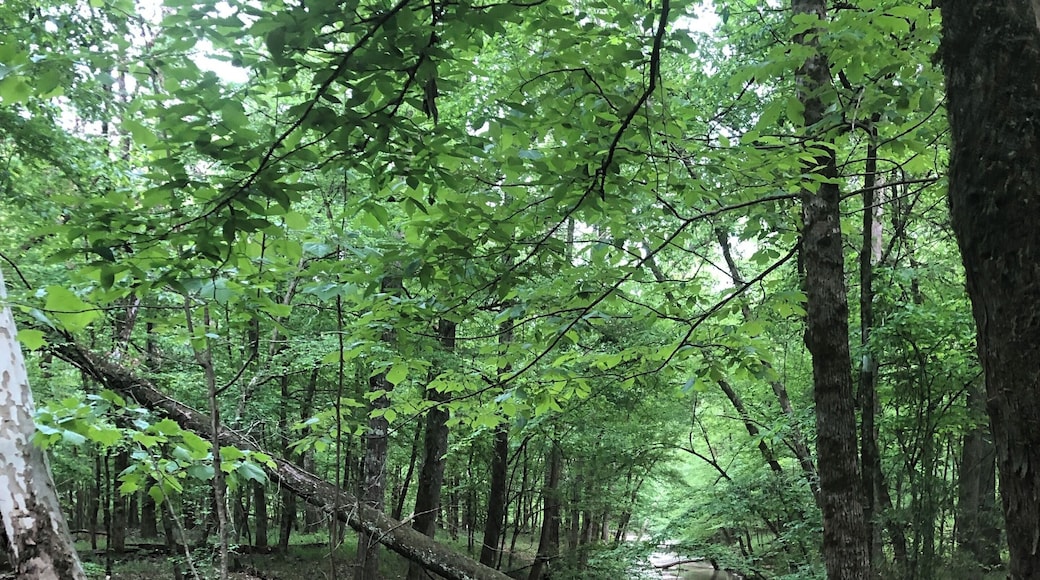 Visit Frugal Family Travelers blog to learn more about this great location, to receive the travel itinerary and to discover more great places like this:
https://frugalfamilytravelers.blogspot.com/2019/05/over-spring-break-frugal-family.html
Follow us on:
Facebook: https://www.facebook.com/frugalfamilytravelers
Twitter: @FrugalFamTrav