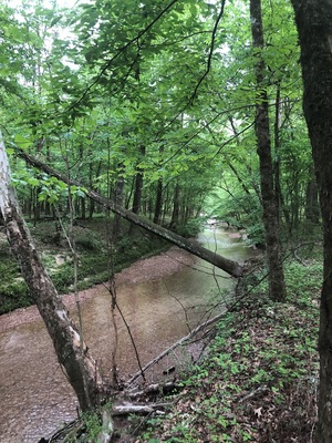 Visit Frugal Family Travelers blog to learn more about this great location, to receive the travel itinerary and to discover more great places like this:
https://frugalfamilytravelers.blogspot.com/2019/05/over-spring-break-frugal-family.html
Follow us on:
Facebook: https://www.facebook.com/frugalfamilytravelers
Twitter: @FrugalFamTrav