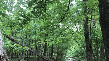 Visit Frugal Family Travelers blog to learn more about this great location, to receive the travel itinerary and to discover more great places like this:
https://frugalfamilytravelers.blogspot.com/2019/05/over-spring-break-frugal-family.html
Follow us on:
Facebook: https://www.facebook.com/frugalfamilytravelers
Twitter: @FrugalFamTrav