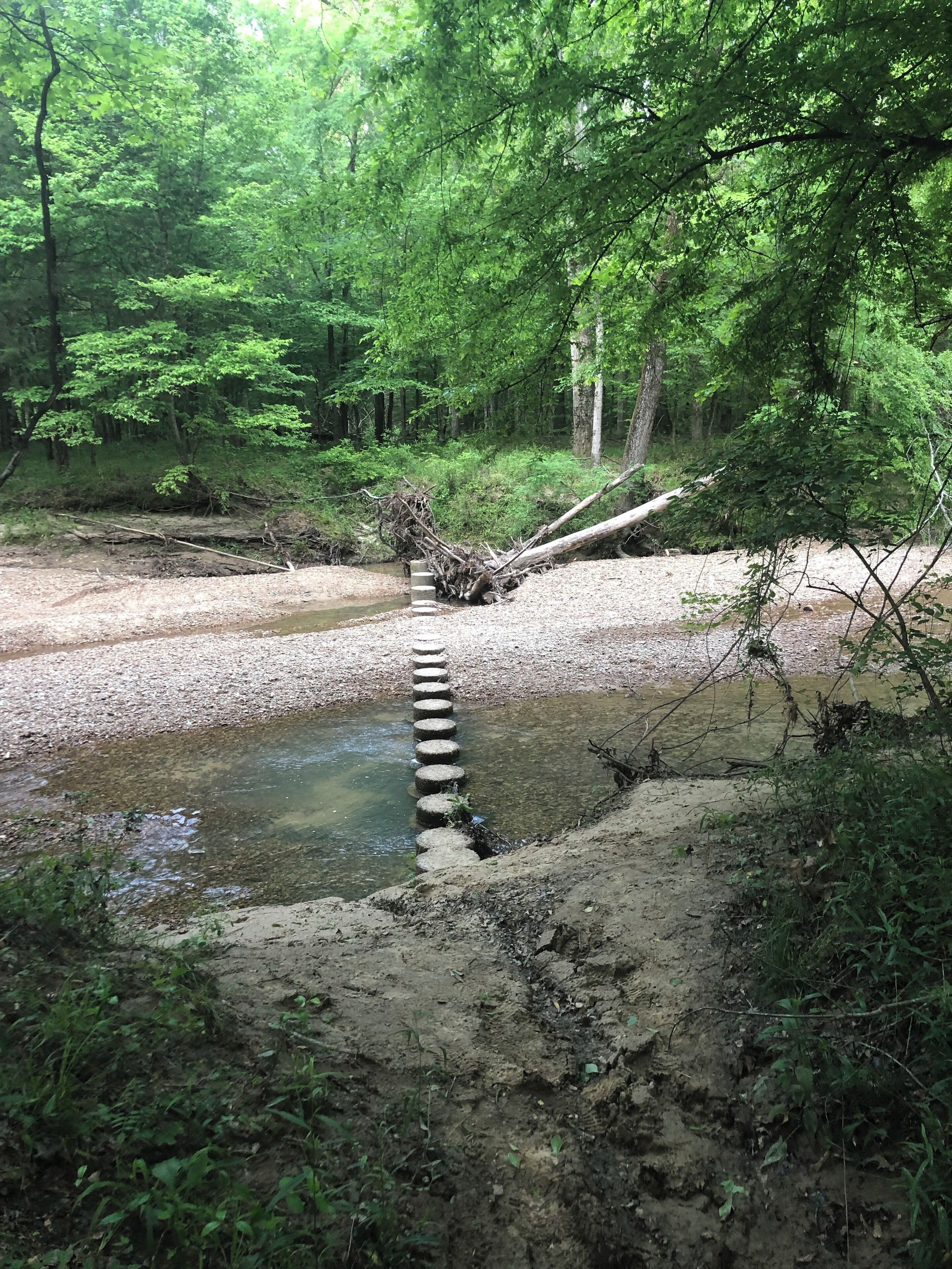 Visit Frugal Family Travelers blog to learn more about this great location, to receive the travel itinerary and to discover more great places like this:

https://frugalfamilytravelers.blogspot.com/2019/05/over-spring-break-frugal-family.html

Follow us on:

Facebook: https://www.facebook.com/frugalfamilytravelers

Twitter: @FrugalFamTrav