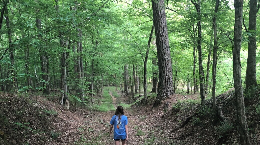 Visit Frugal Family Travelers blog to learn more about this great location, to receive the travel itinerary and to discover more great places like this:
https://frugalfamilytravelers.blogspot.com/2019/05/over-spring-break-frugal-family.html
Follow us on:
Facebook: https://www.facebook.com/frugalfamilytravelers
Twitter: @FrugalFamTrav