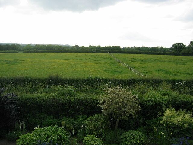 Green Cheshire countryside. View across the fields from Norley Lane