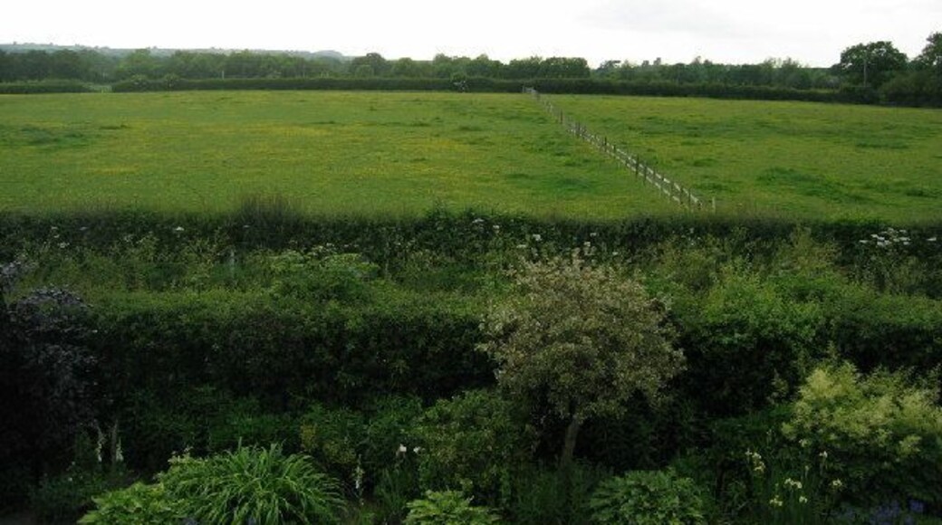 Green Cheshire countryside. View across the fields from Norley Lane
